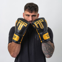 Polleo x AP Boxing Gloves Leather, Black/Golden