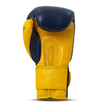 Polleo x AP Boxing Gloves Leather, Blue/Yellow